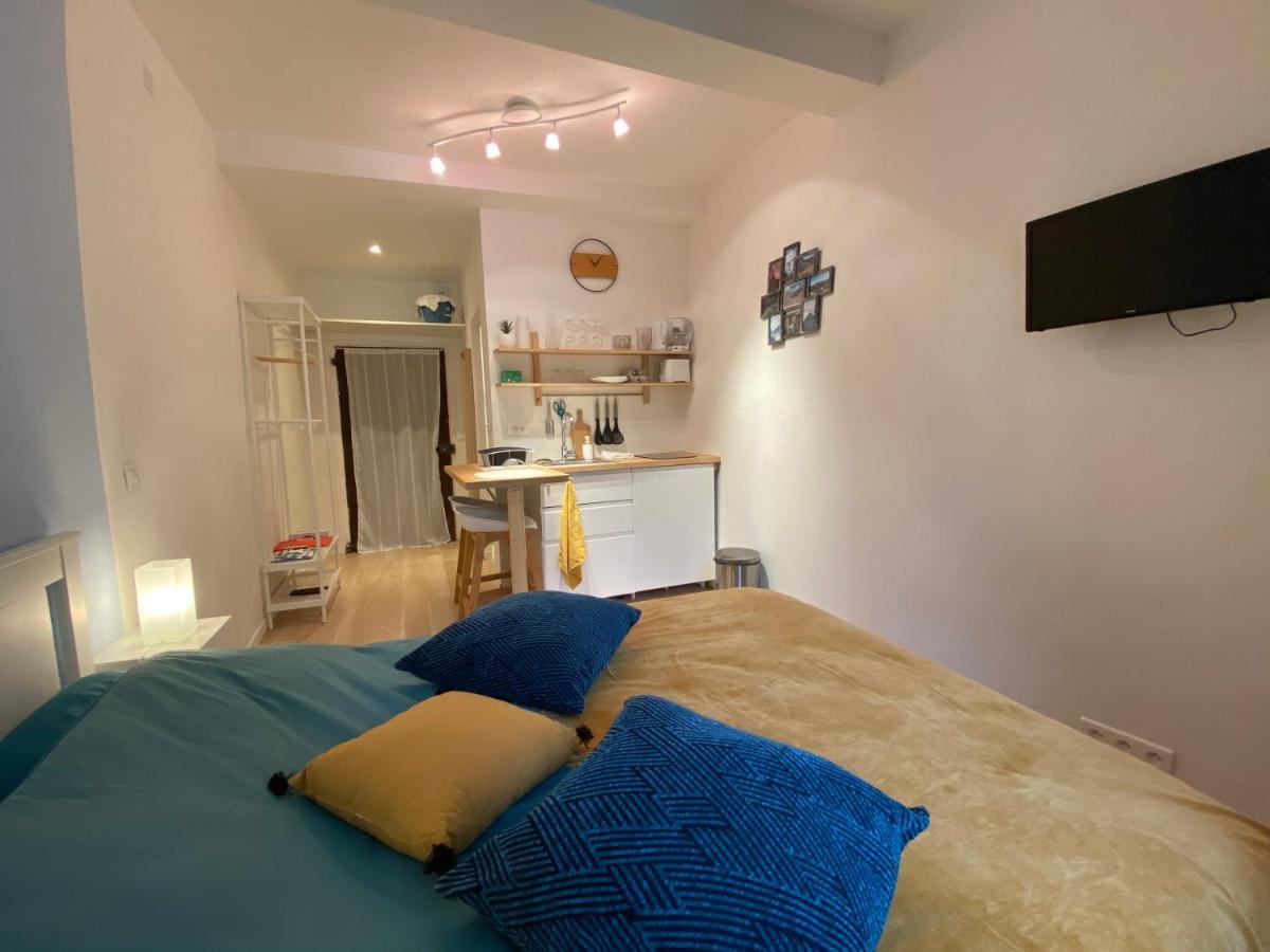 Studio Tres Agreable Proche De Auron Saint-Étienne-de-Tinée Kültér fotó
